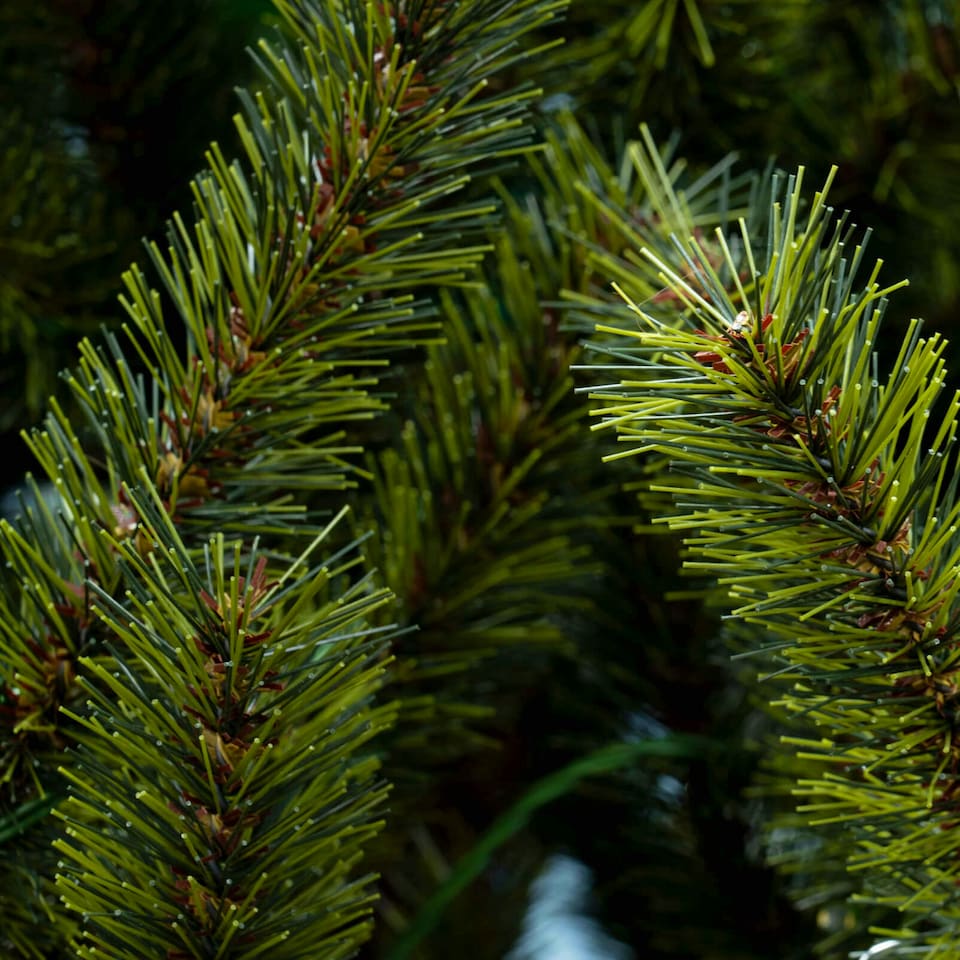 image 1 of Christmas Tree World  8ft/240cm Matterhorn Pine Christmas Tree