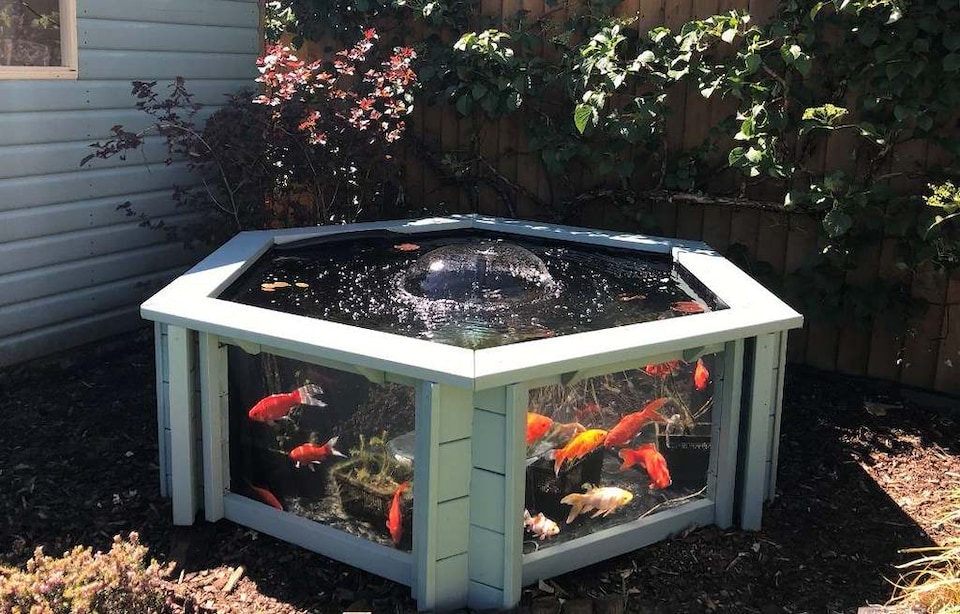 image 1 of Raised hexagon pond with large windows Lily Clear View Garden Aquarium in Seagrass Green