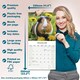 image 6 of Guinea Pigs 2026 Calendar | Square Wall Calendar | Animal Gift | Plastic Free Packaging | by Avonside Publishing