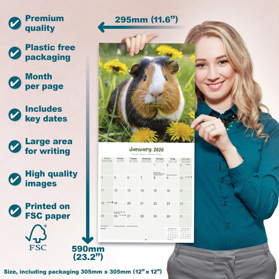 image 1 of Guinea Pigs 2026 Calendar | Square Wall Calendar | Animal Gift | Plastic Free Packaging | by Avonside Publishing