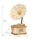 image 5 of Rolife 3D Wooden Puzzle Bi-Plane Gramophone