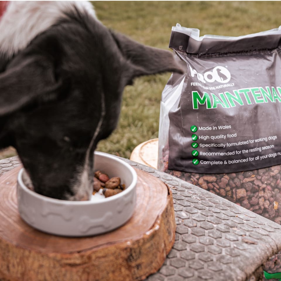 ドッグフード west o- Pero Working Dog Food - Maintenance 15kg | Brown | 15kg | 1