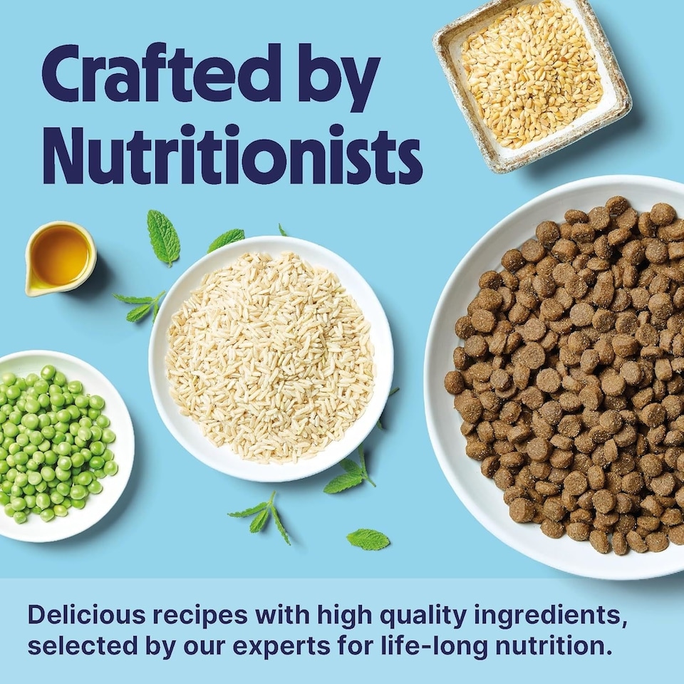 image 1 of Tails.com Inner Vitality Dry Dog Food Toy & Small Adult Chicken 4 x 2kg