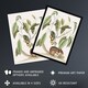 image 2 of Ground Squirrel and Wild Nutmeg Mark Catesby Framed Wall Art Print 12X16"
