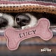 image 2 of History & Heraldry Pre-Personalised Squeaky Bone Dog Toy - Lucy
