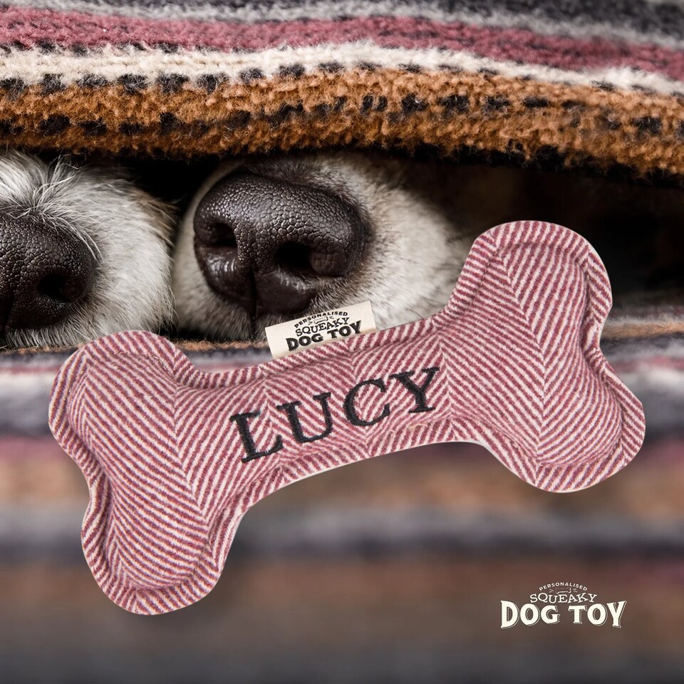 image 1 of History & Heraldry Pre-Personalised Squeaky Bone Dog Toy - Lucy