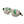 Green Palm Tree