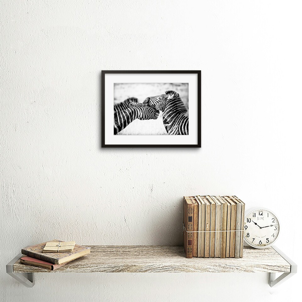 image 1 of Wild Zebra Kruger Park Africa 9x7" Black Framed Wall Art Print