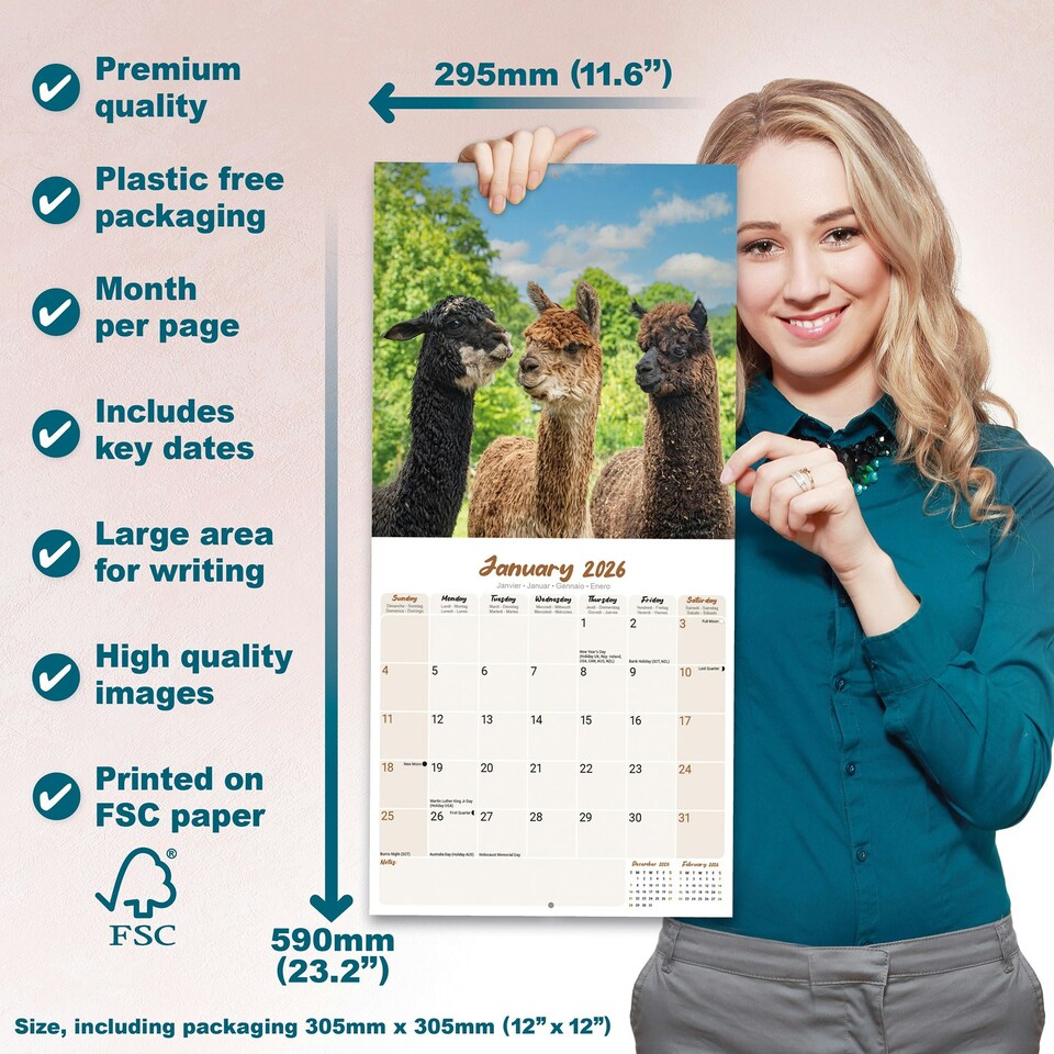 image 1 of Alpacas 2026 Calendar | Square Wall Calendar | Animal Gift | Plastic Free Packaging | by Avonside Publishing
