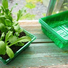 Gro-Sure Visiroot Seed Trays 4 Pack Transparent RPET Propagation Trays
