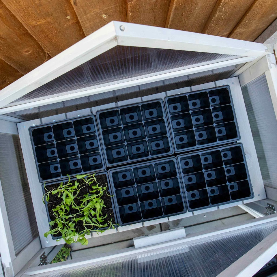 image 1 of Marshalls Garden 12 x 9-Cell Deep Seed Trays - UV-Resistant, Labeled, Fits Propagator