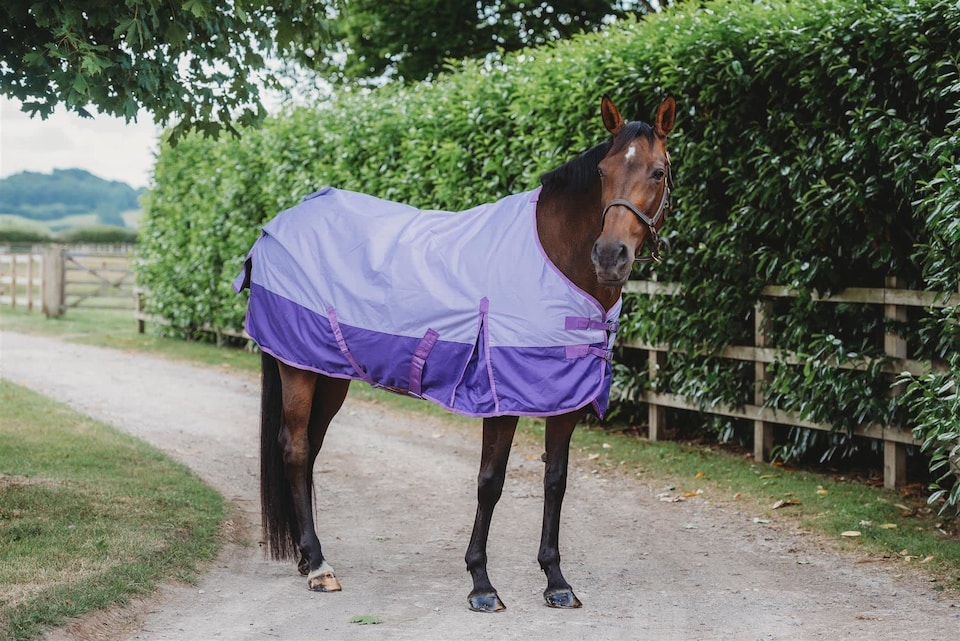 image 1 of eQuitack 600D Waterproof Horse Turnout Rug 50g Fill Regular Neck Lavender/Purple 6'0''