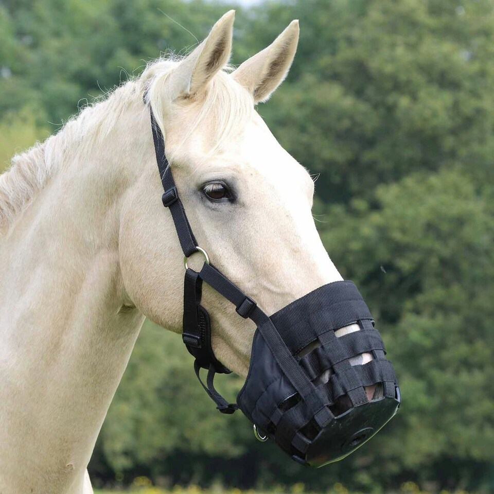 image 1 of Shires Comfort Horse Grazing Muzzle - Black - Small Pony