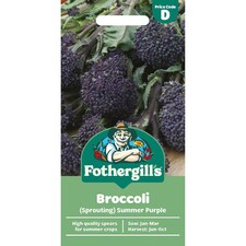 Mr. Fothergills Broccoli Seeds - Summer Purple