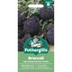image 1 of Mr. Fothergills Broccoli Seeds - Summer Purple