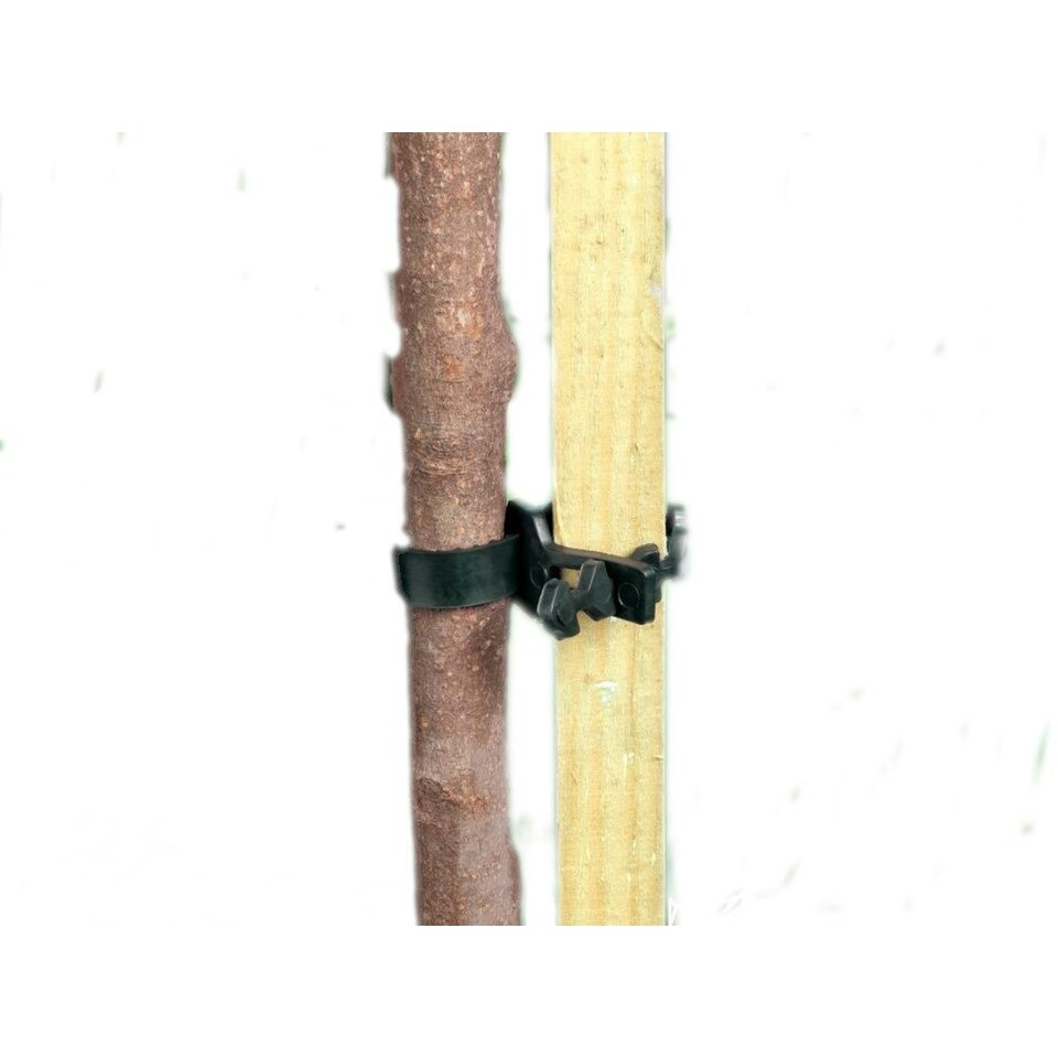 image 1 of Ambassador Soft Shrub Ties (Pack Of 2) - Black - 13.75in