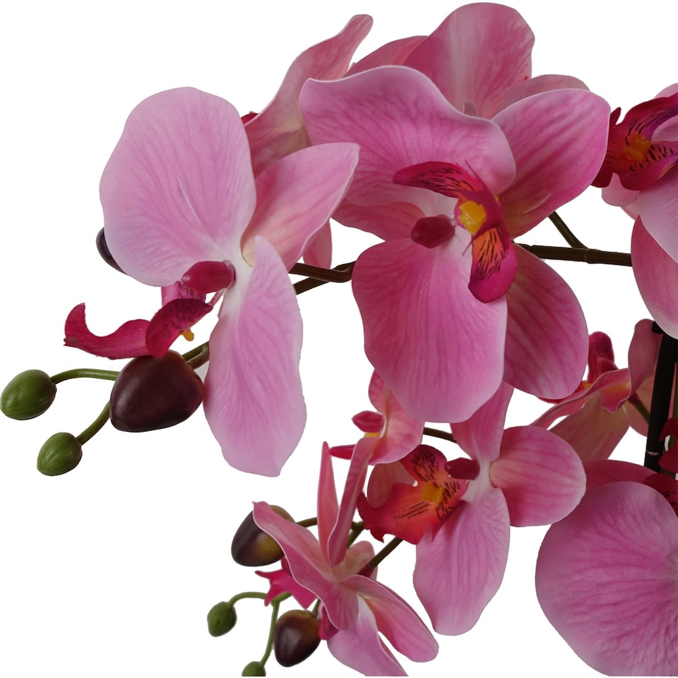 image 1 of 50cm Artificial Orchid with Glass Planter - Pink