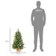 image 3 of HOMCOM 2 Pieces 3' Prelit Artificial Tabletop Christmas Trees, LED Display