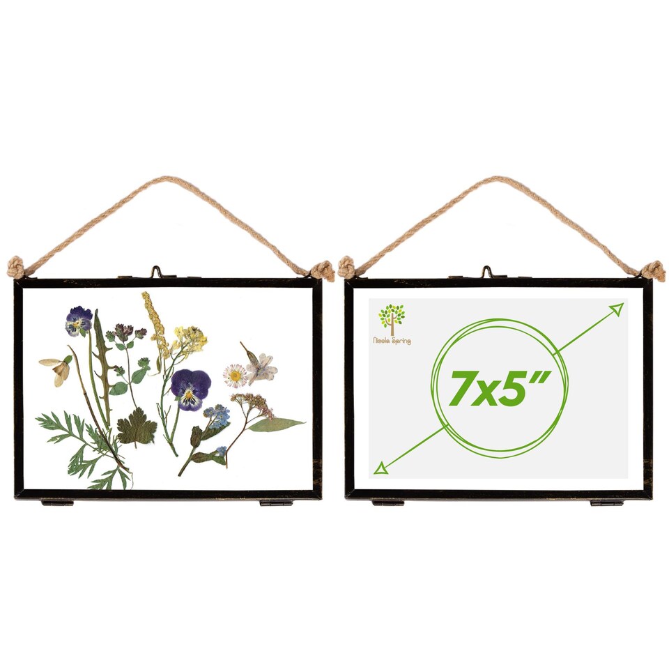 image 1 of Nicola Spring Hanging Metal Photo Frames - 7" x 5" - Black - Pack of 2 | Black | Grey | One Size