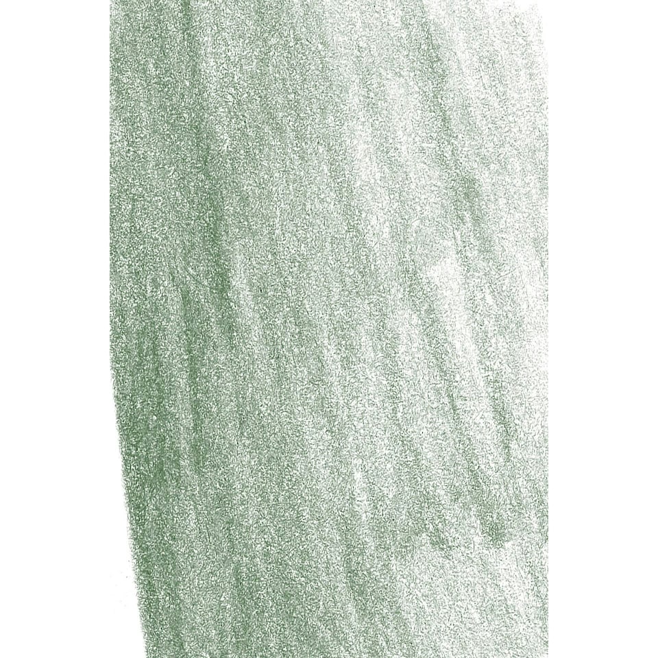 Faber-Castell - Pitt Pastel Pencil, Juniper Green (165) - FC112265