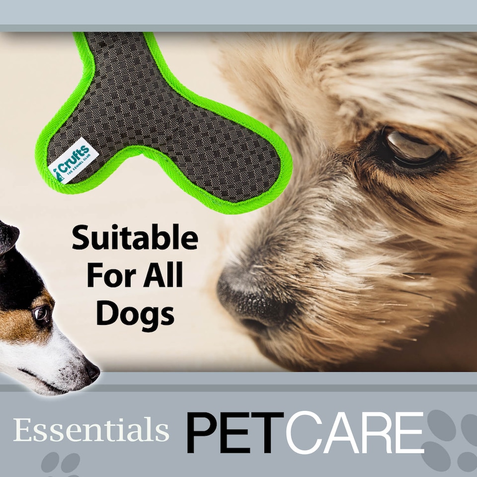 image 1 of PMS Crufts Bone Dog Toy - Tough Squeaker Toy, Green and Grey
