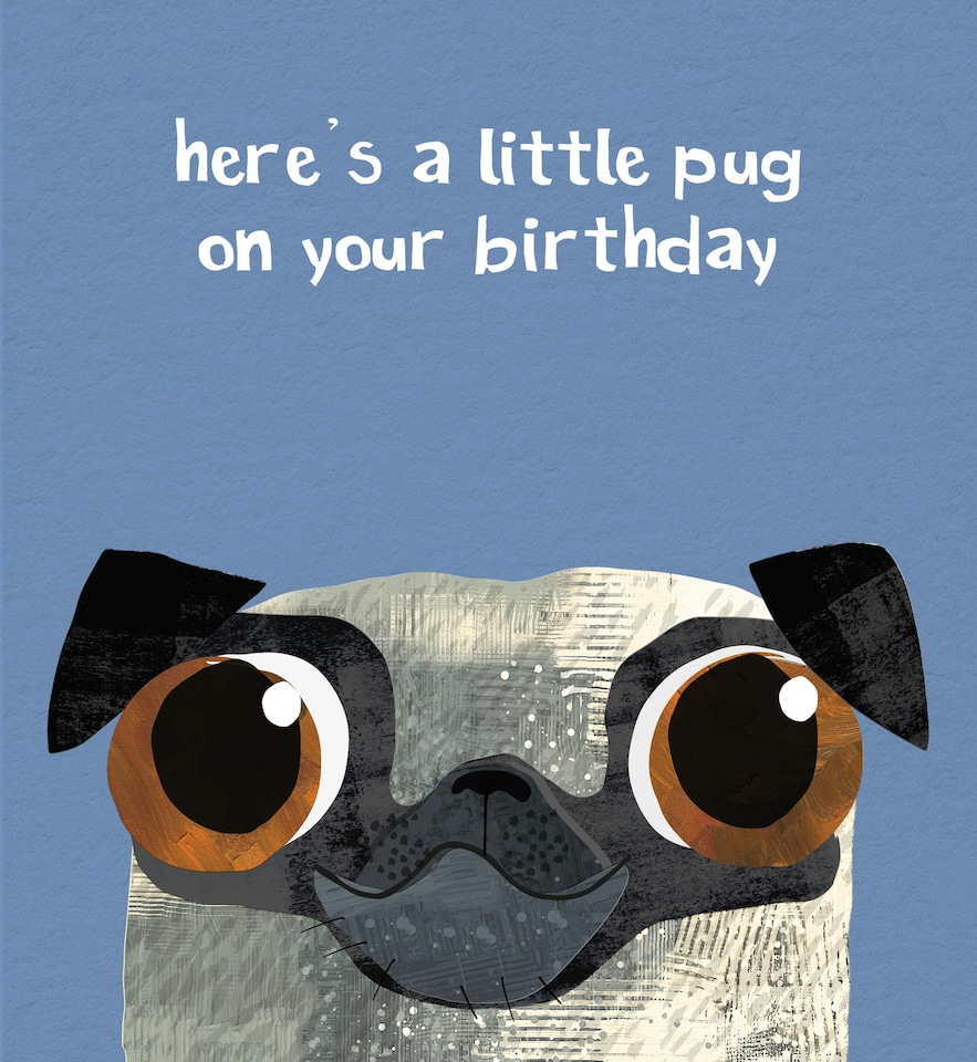image 1 of Here's A Little Pug On Your Birthday Dog Greetings Card By Paul Delaney