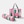 Pink Sardine