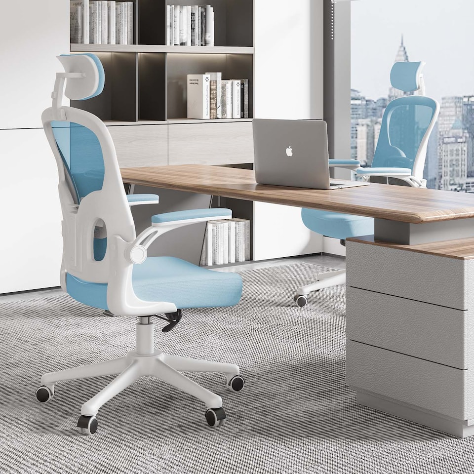 image 1 of Rattantree Ergonomic Office Chair With Headrest & Lumbar Support