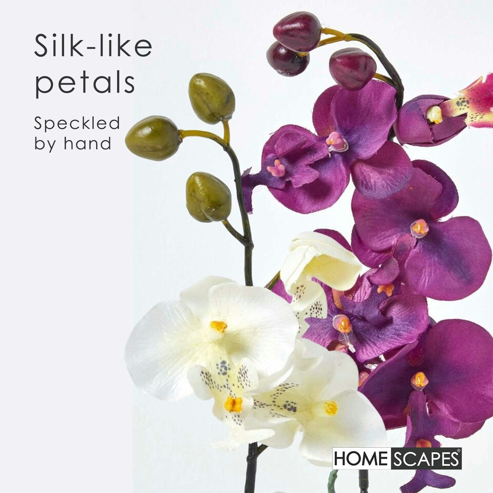 image 1 of Homescapes Set of 2 Cerise Pink & White Artificial Orchids in Pots, 40 cm