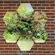 image 1 of Primrose Set of 7 Small Outdoor Hexagonal Silver Mirrors 11in