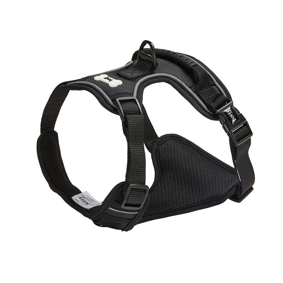 image 1 of Bunty Adventure Harness Pink | XL