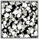 image 1 of Grey, white & black flowers (Picture Frame) Grey | L