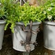image 3 of Antique Bronze Coloured Gecko Pot Buddy Plant Pot Hanger