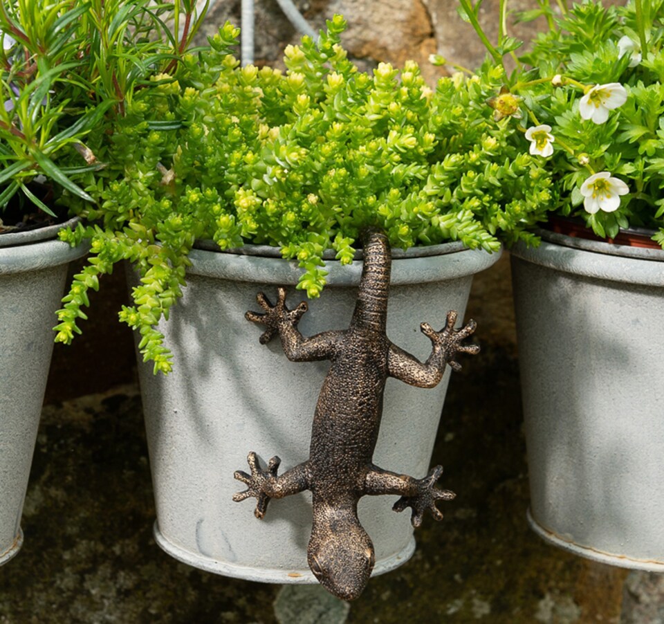 image 1 of Antique Bronze Coloured Gecko Pot Buddy Plant Pot Hanger
