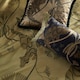 image 4 of Paoletti Moondusk Exotic Animal Jacquard Super King Duvet Cover Set
