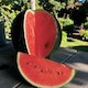 image 1 of Carbeth Plants Watermelon Sugarbaby Fruit Plant - 9cm Pot - Easy Grow Kitchen Garden