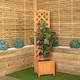 image 2 of 1.6m Samuel Alexander Natural Wooden Freestanding Garden Trellis with Raised Bed Planter