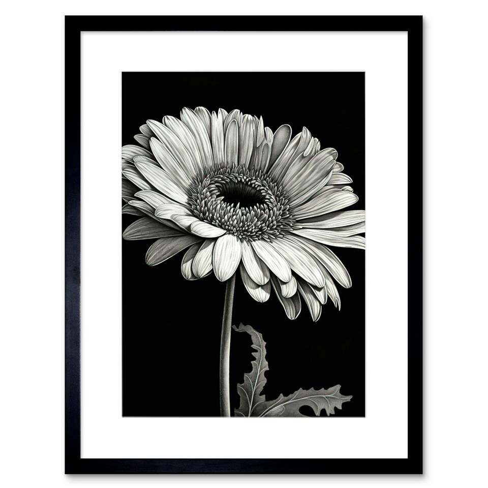 image 1 of Black White Pencil Drawing of a Gerbera Flower 9x7" Black Framed Wall Art Print