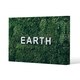 image 1 of Wellness Earth (Canvas Print) 101 x 77 x 4cm