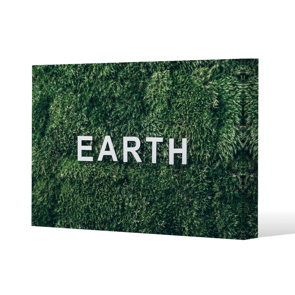 image 1 of Wellness Earth (Canvas Print) 101 x 77 x 4cm