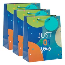 Multipack of 3 Medium Gift Bags | Party Bags for Presents | Birthdays | For Him/Friend | Just for You Design