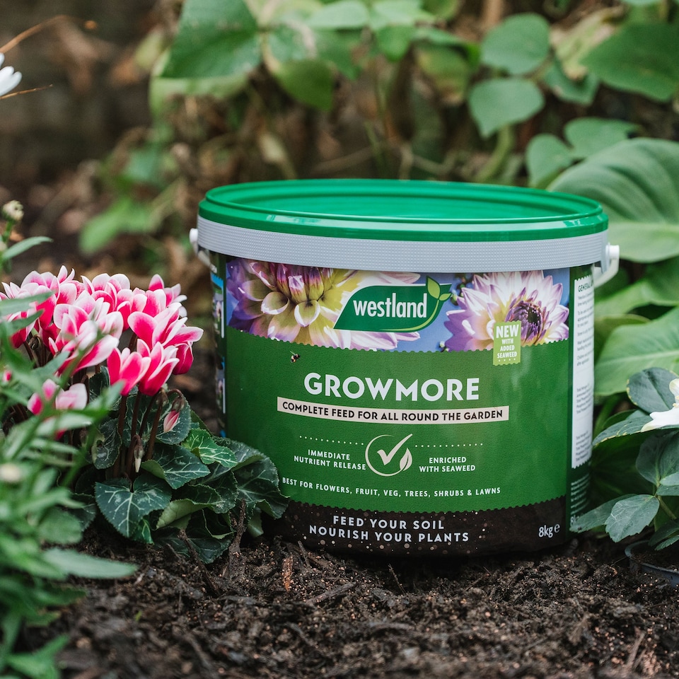 image 1 of Westland Growmore Fertiliser