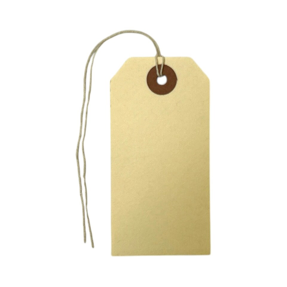 image 1 of Box of 1000 96mm x 48mm Ivory Strung Tags