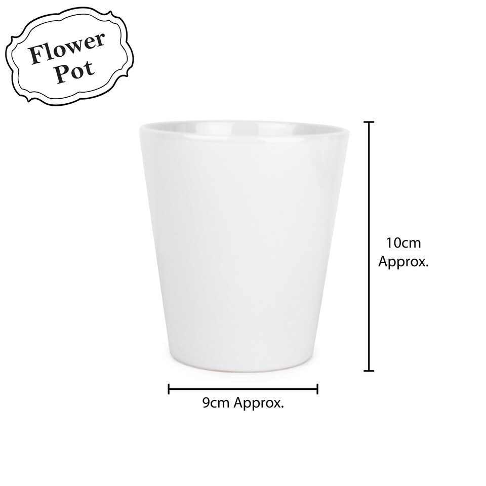 image 1 of Minimalist Design Small Ceramic Coriander Plant Pot