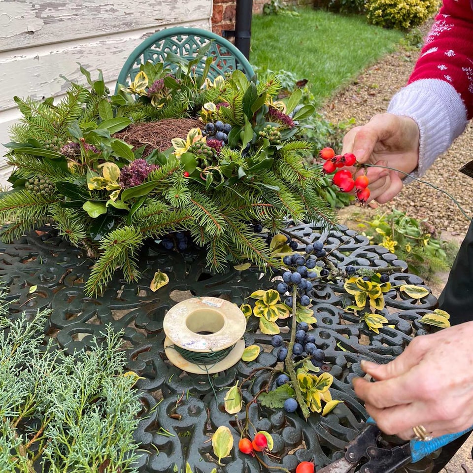 image 1 of Marshalls Garden Simon King Wreath Nester