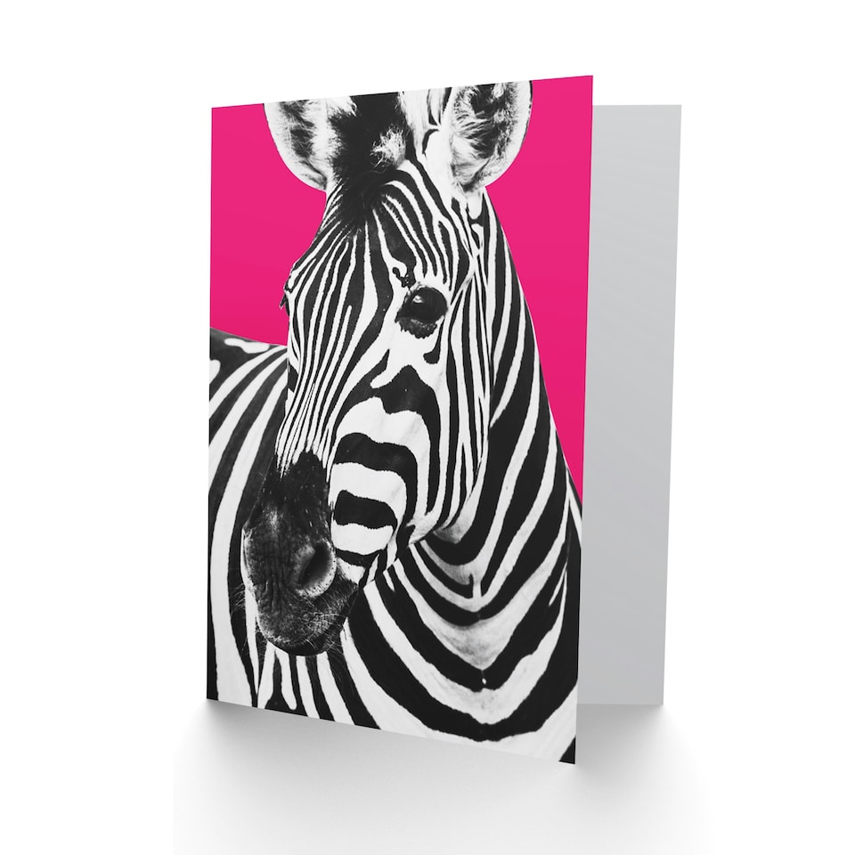 image 1 of Close Up Beasties Zebra Art Blank Just to Say Card
