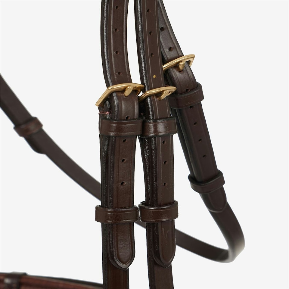 image 1 of LeMieux Competition Flash Bridle Black | X-Full