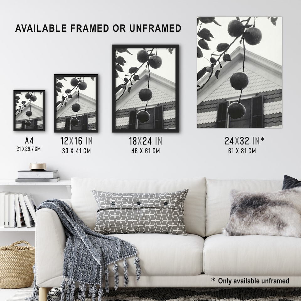 image 1 of Gable and Apples Photograph Alfred Stieglitz Huge Wall Art Poster Print 24X32"