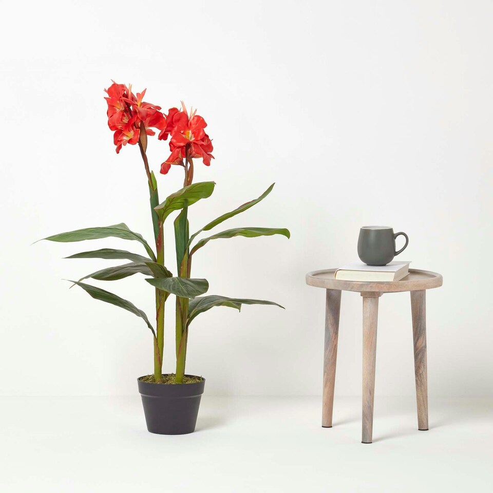 image 1 of Homescapes Artificial Canna Lily Plant, 90 cm Tall