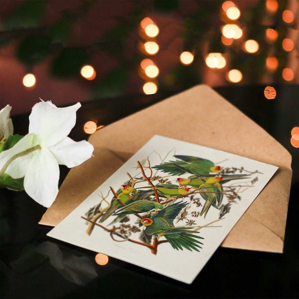 image 1 of John James Audubon Art Card Carolina Parakeet Parrot